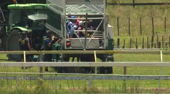 View video › View video ›