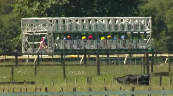 View video › View video ›