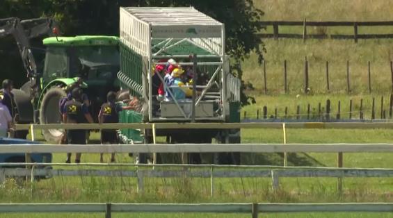 View video › View video ›