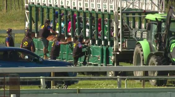 View video › View video ›