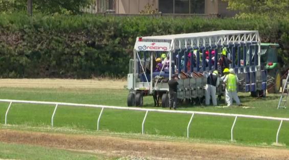 View video › View video ›