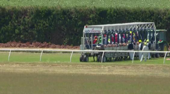 View video › View video ›