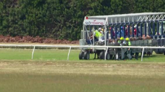 View video › View video ›