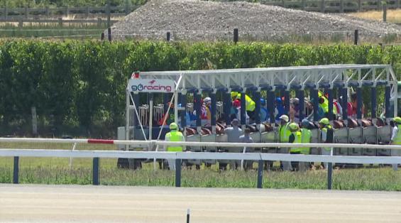 View video › View video ›