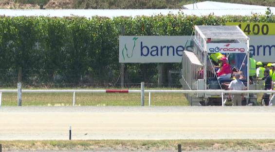 View video › View video ›