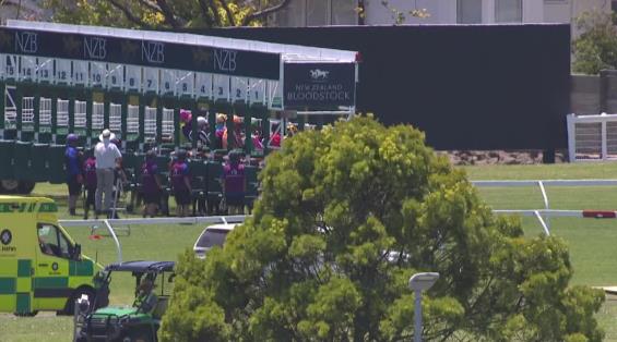 View video › View video ›