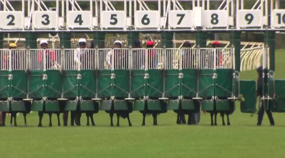 View video › View video ›