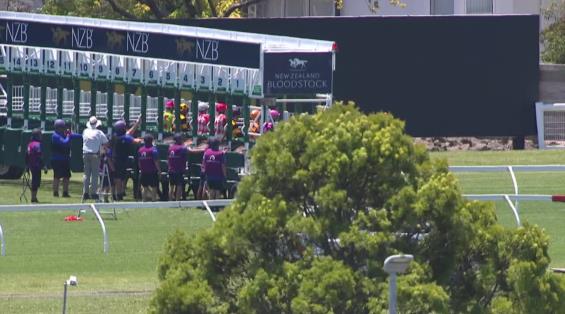 View video › View video ›