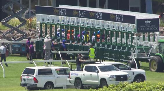 View video › View video ›