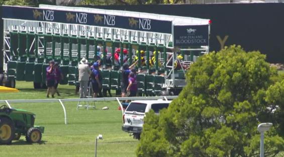 View video › View video ›