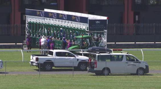 View video › View video ›