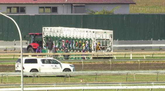 View video › View video ›