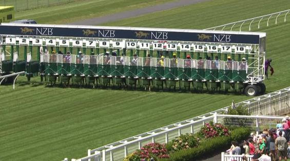 View video › View video ›