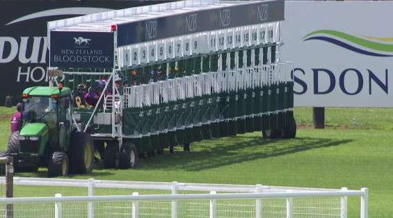 View video › View video ›