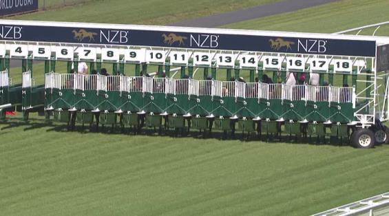 View video › View video ›