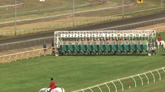 View video › View video ›