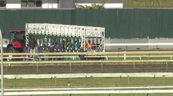 View video › View video ›