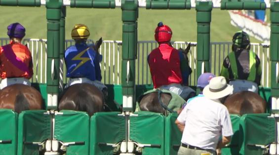 View video › View video ›