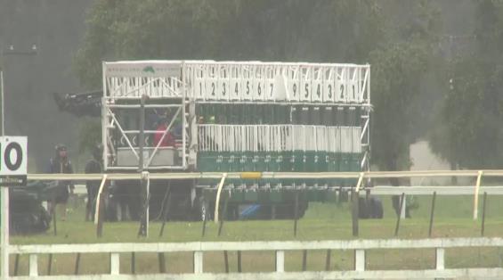 View video › View video ›