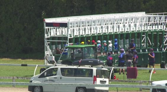 View video › View video ›