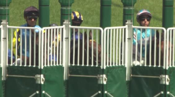 View video › View video ›