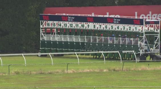 View video › View video ›