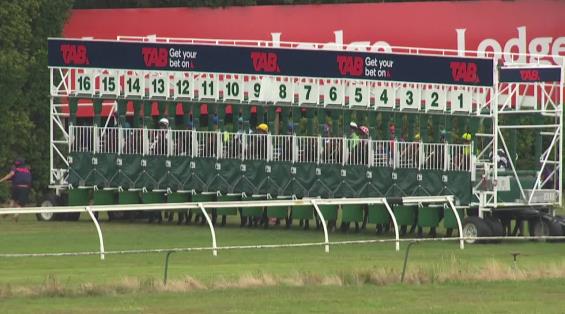 View video › View video ›