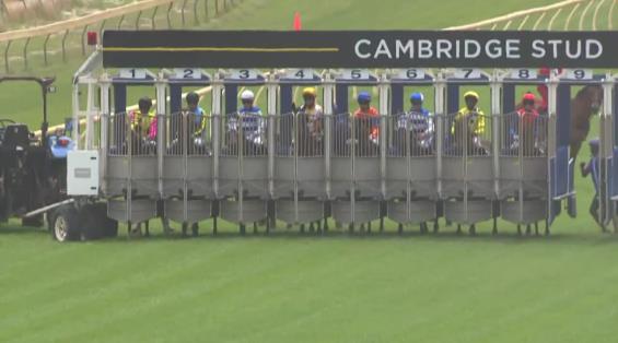 View video › View video ›