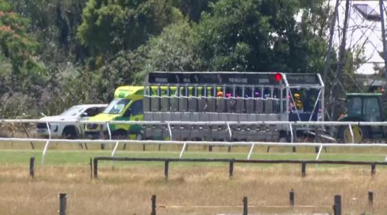 View video › View video ›