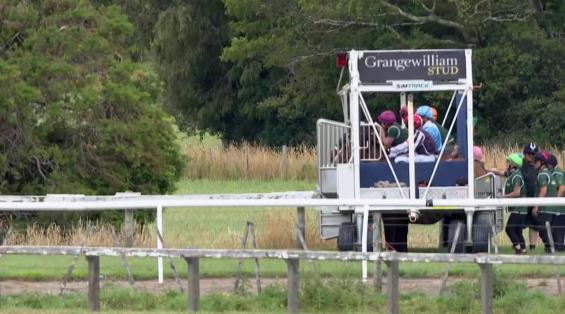 View video › View video ›