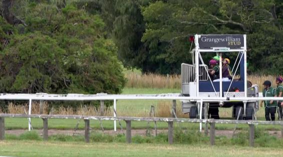 View video › View video ›