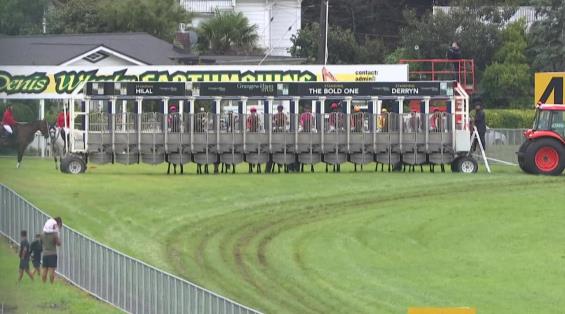 View video › View video ›