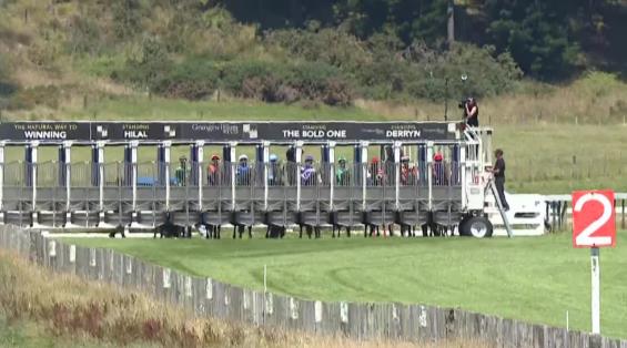 View video › View video ›