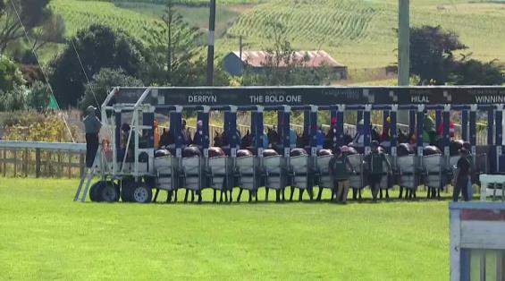 View video › View video ›