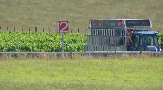 View video › View video ›