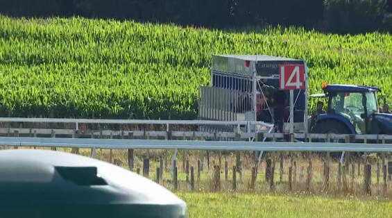 View video › View video ›