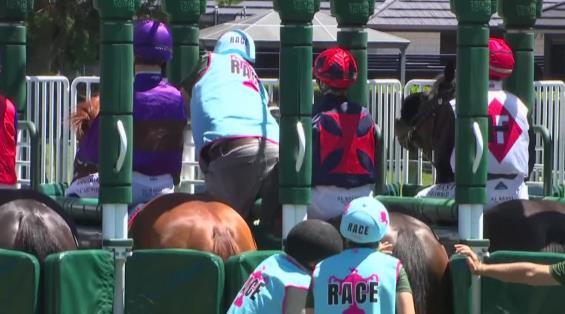 View video › View video ›