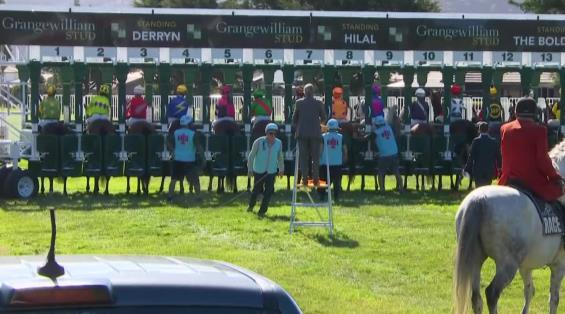 View video › View video ›