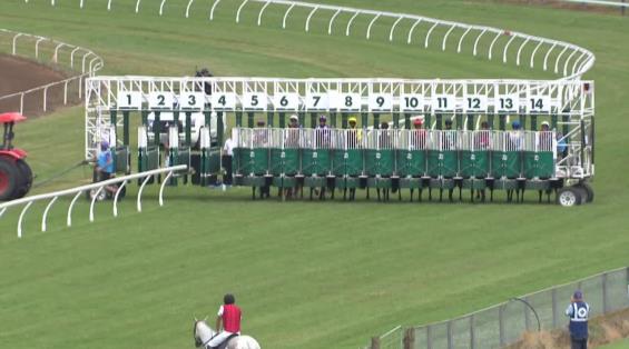 View video › View video ›