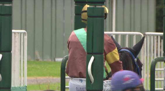 View video › View video ›