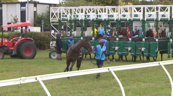 View video › View video ›