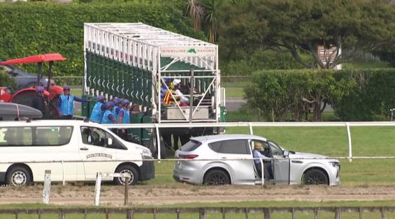 View video › View video ›