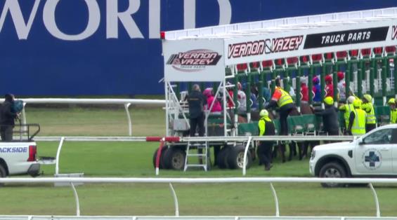 View video › View video ›