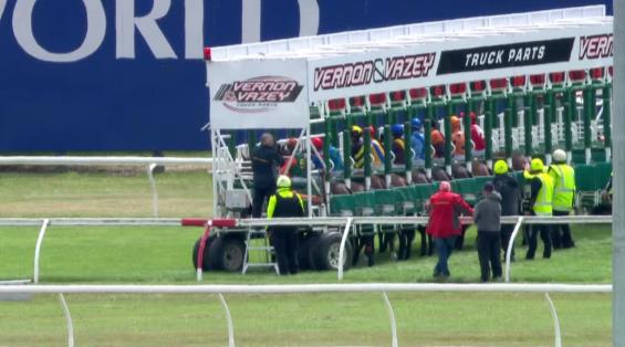 View video › View video ›