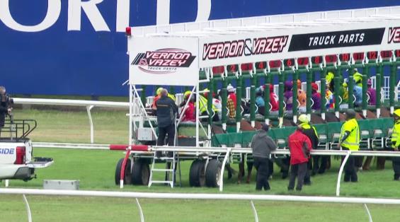 View video › View video ›