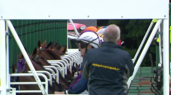 View video › View video ›