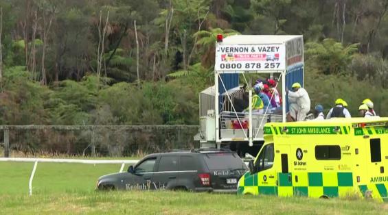 View video › View video ›