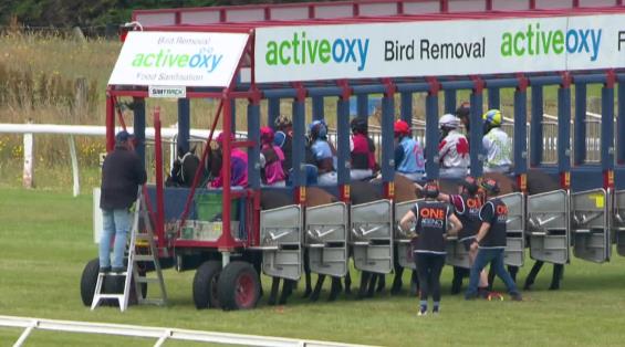 View video › View video ›