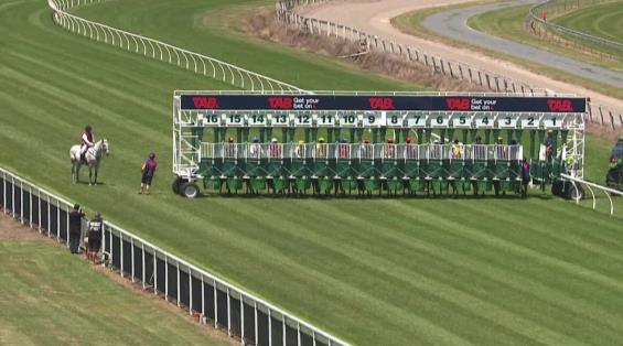 View video › View video ›