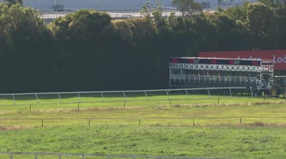 View video › View video ›